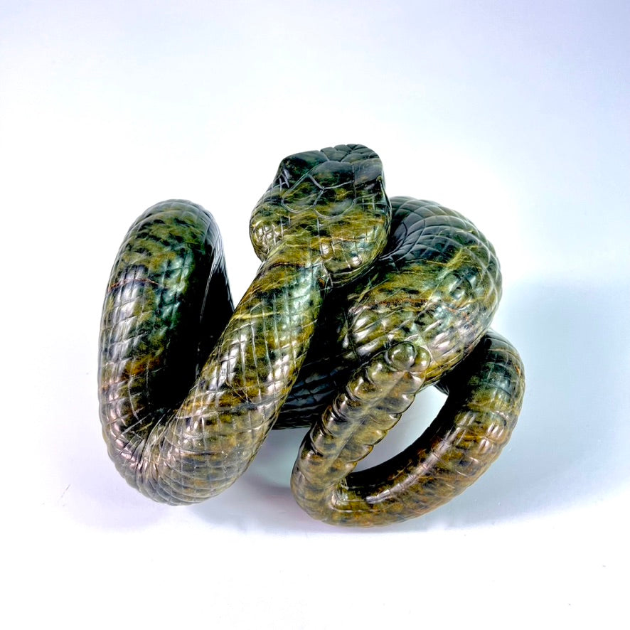 Rattlesnake