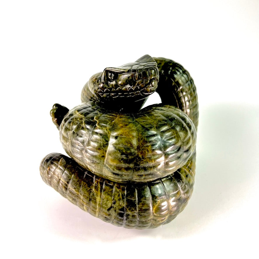 Rattlesnake