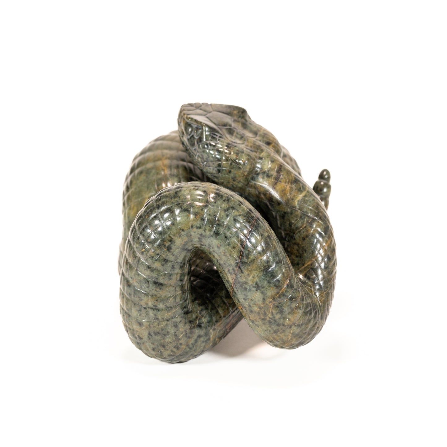 Rattlesnake