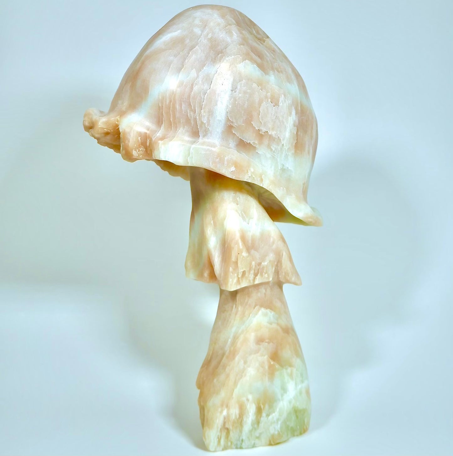 This mushroom looks beautiful and natural with the stone edges being raw. The mushroom looks alive and well growing up on the forest floor.