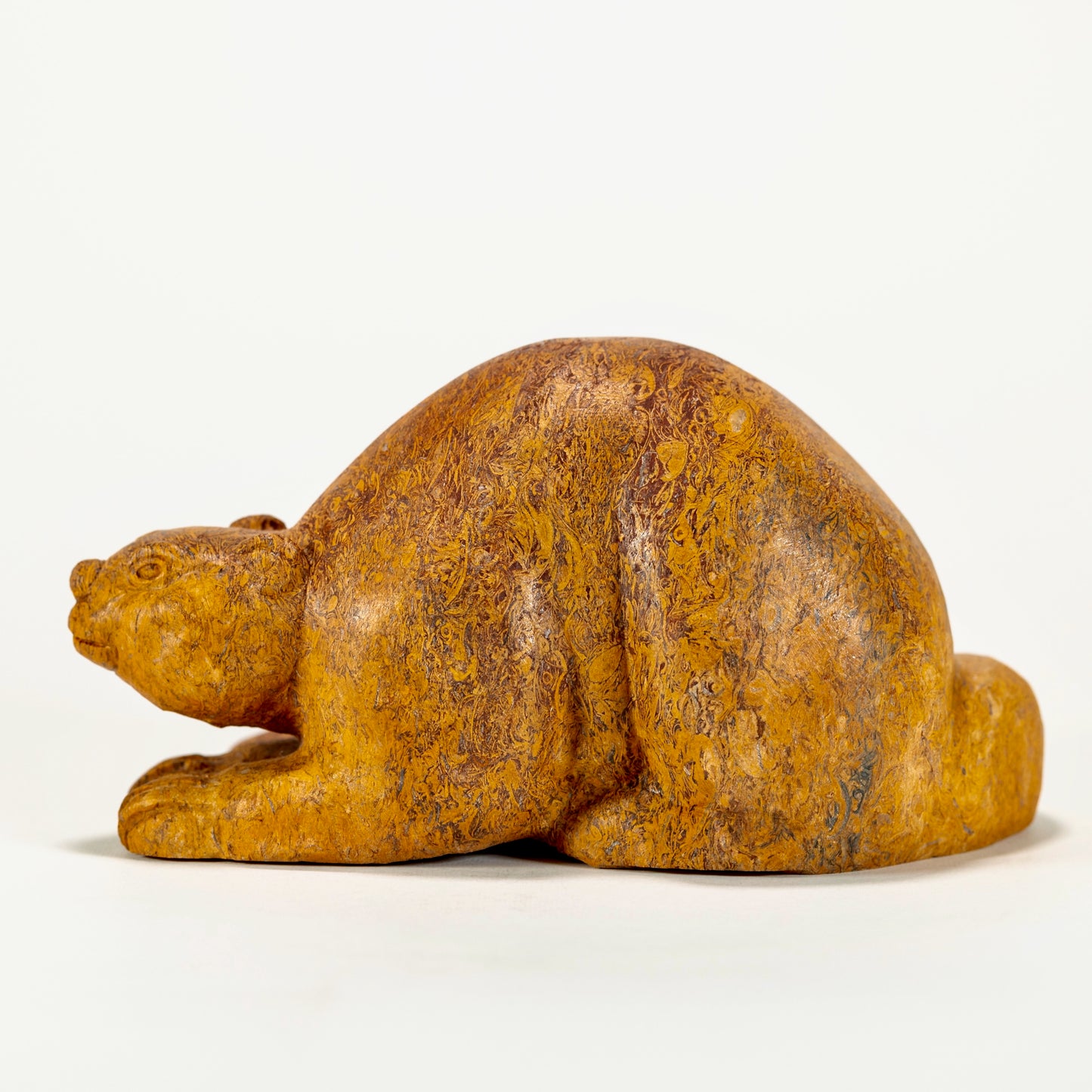 Canadian Beaver