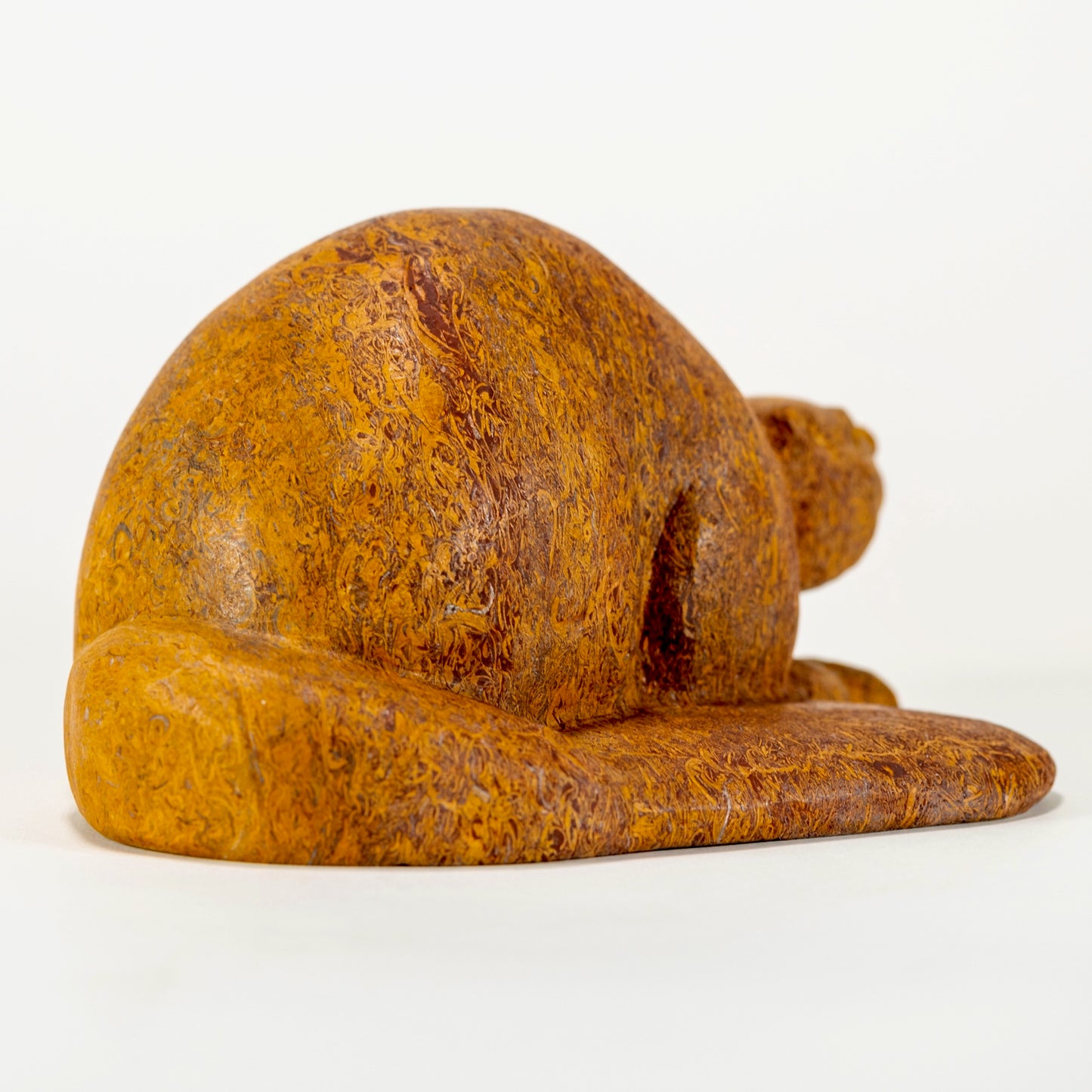 Canadian Beaver