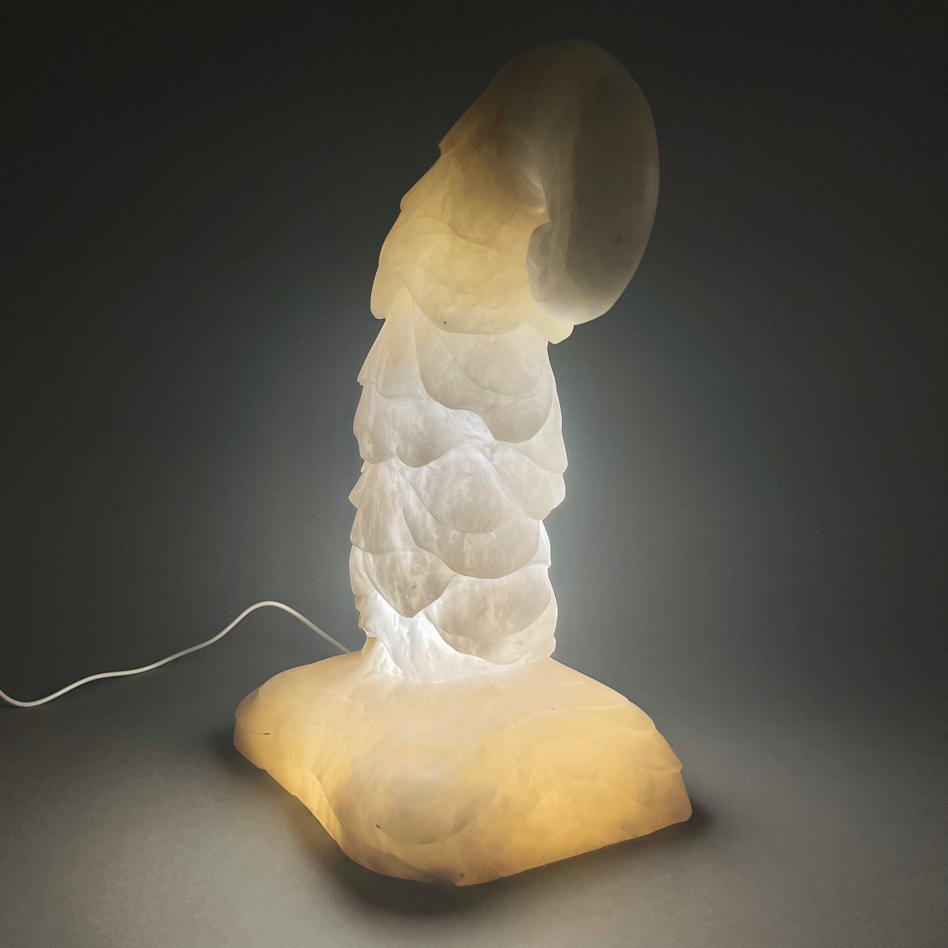 In the mountains during the long winter months, can cover the trees in a blanket of white.  This snow covered tree is hand carved from alabaster to be a glowing alabaster art lamp.