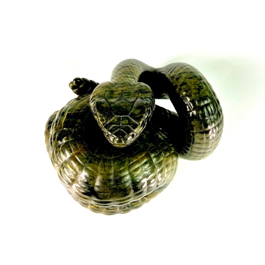 Rattlesnake