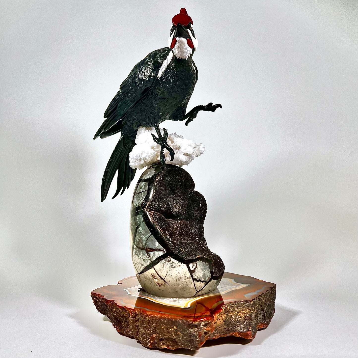 Pileated Woodpecker