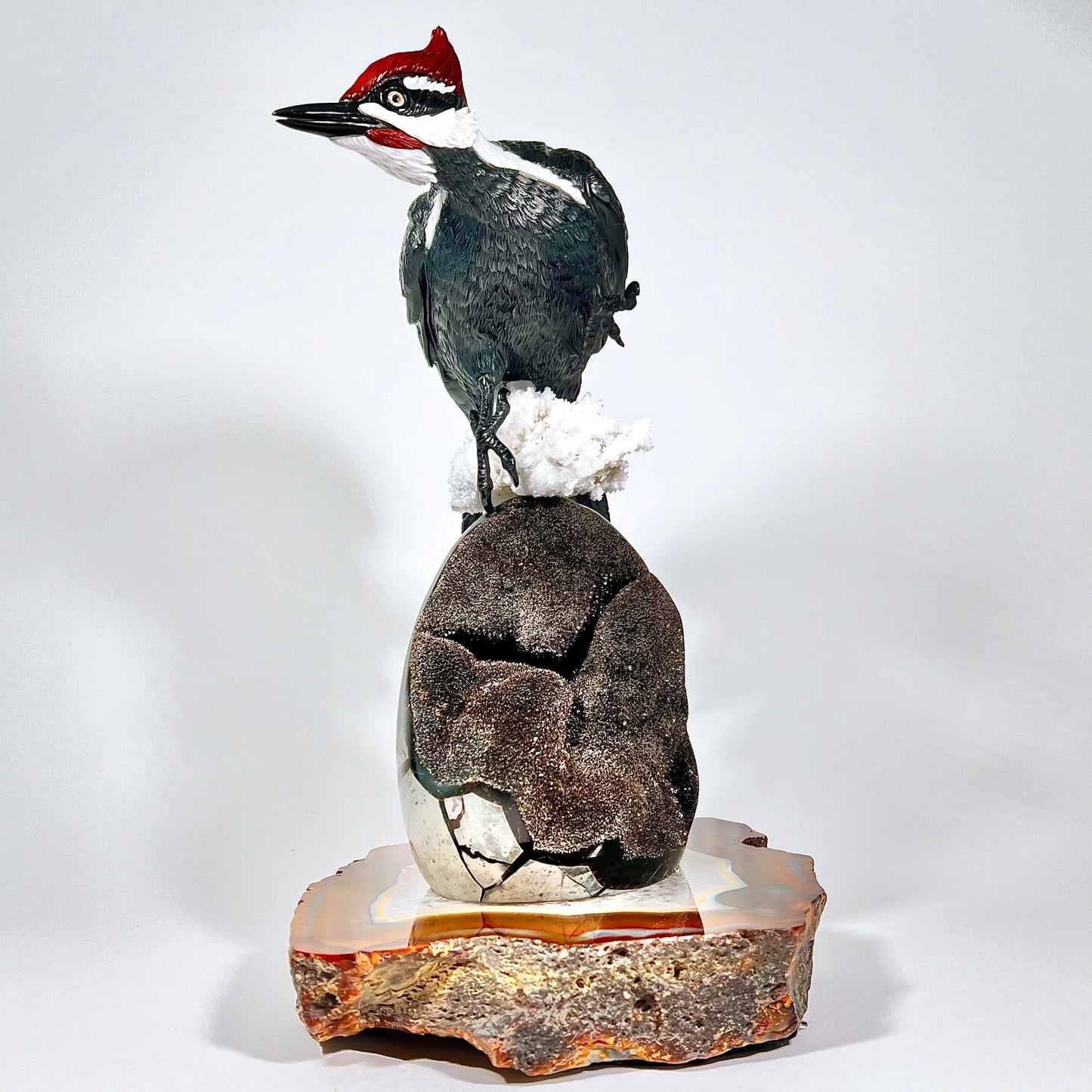 Pileated Woodpecker