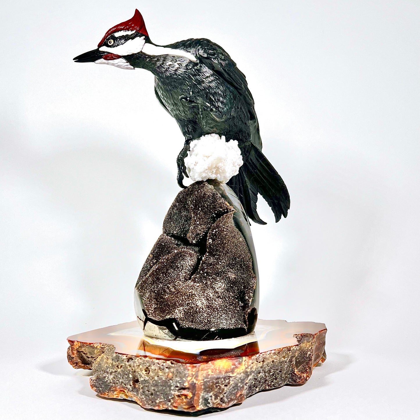 Coorilated Wood Pecker