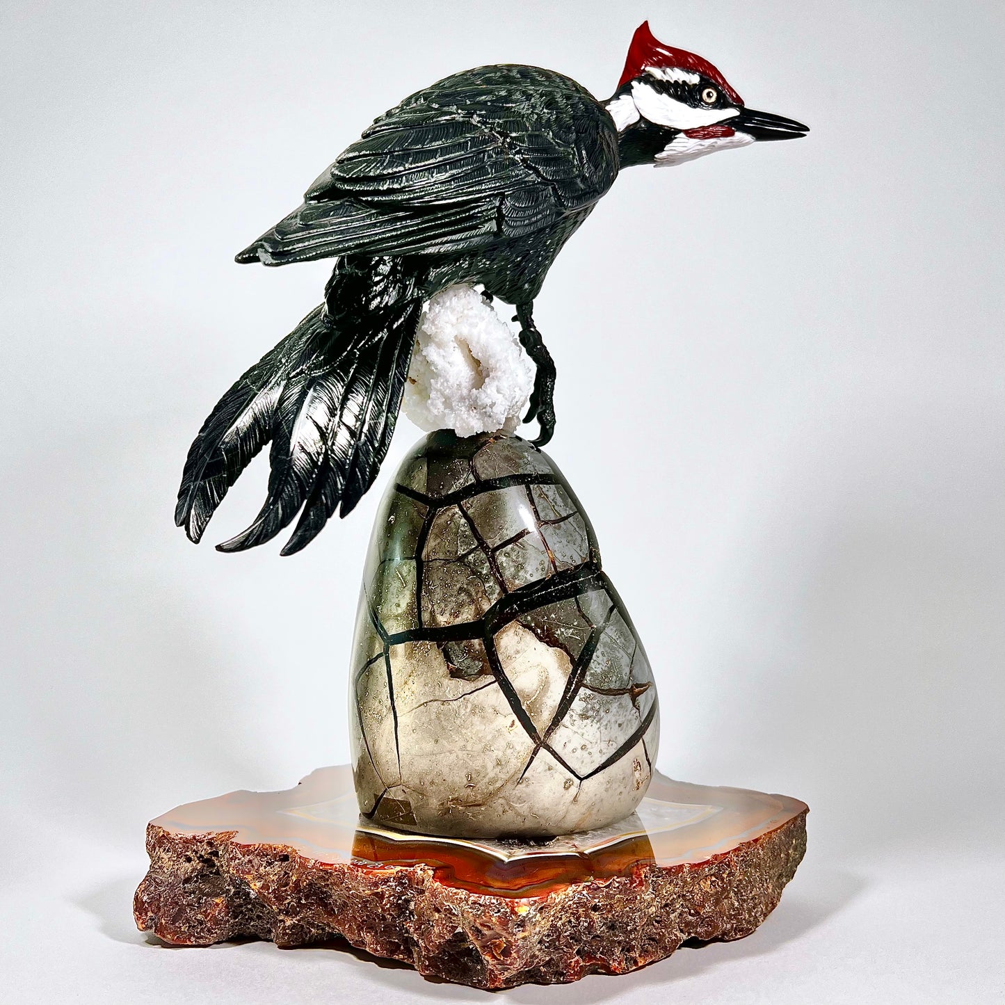 Pileated Woodpecker
