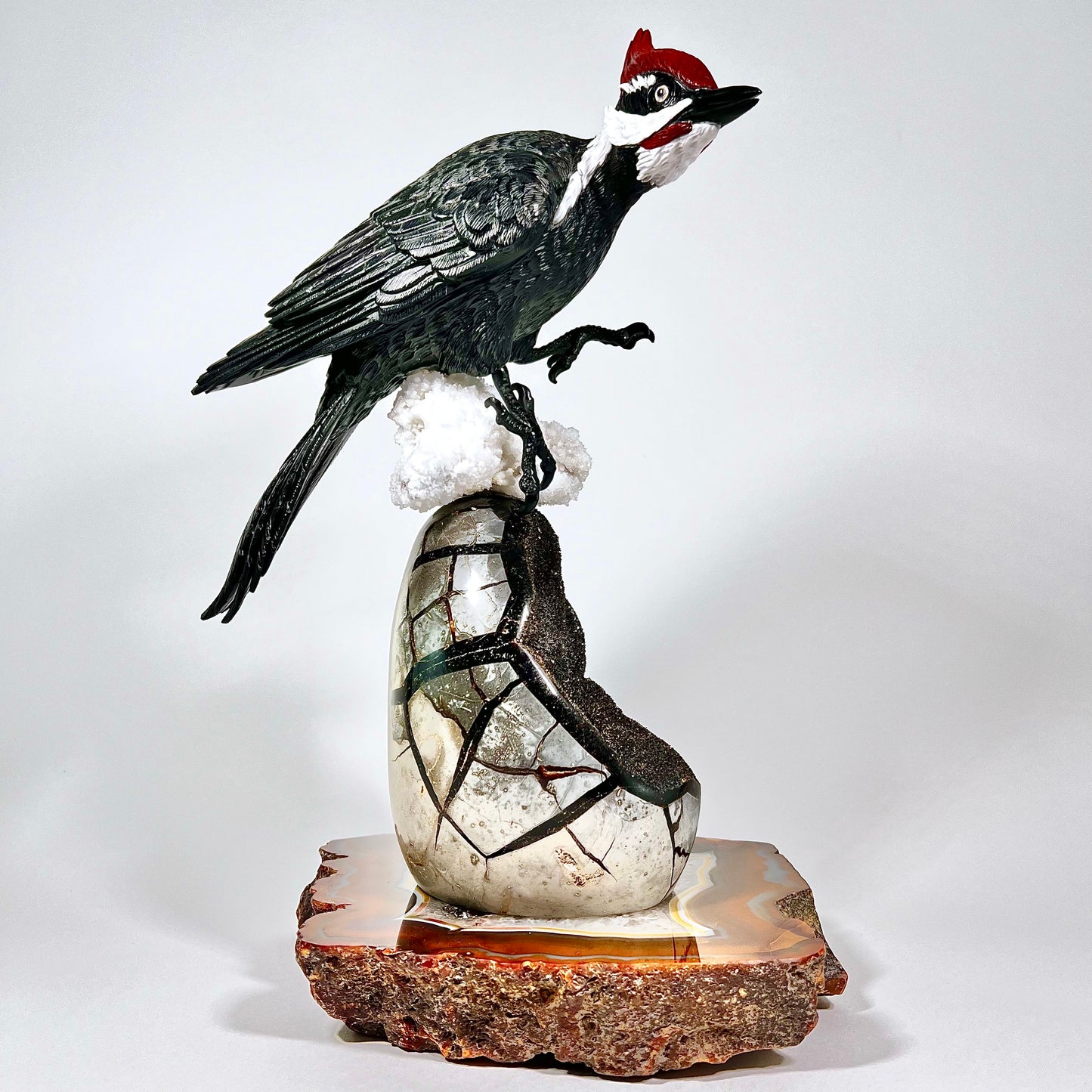 Pileated Woodpecker