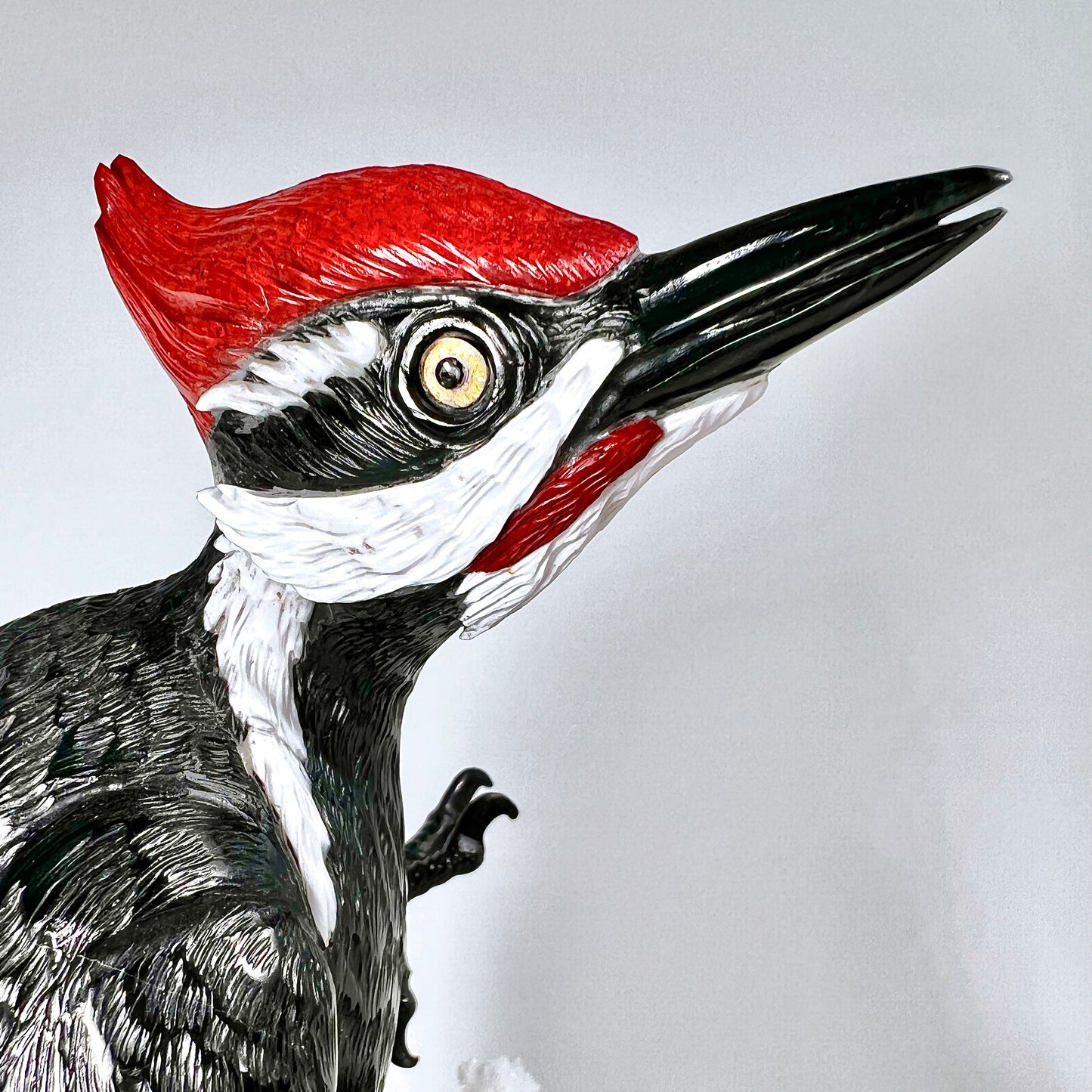 Pileated Woodpecker