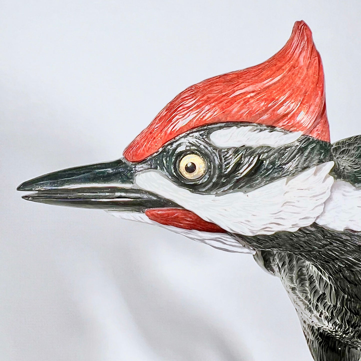 Pileated Woodpecker