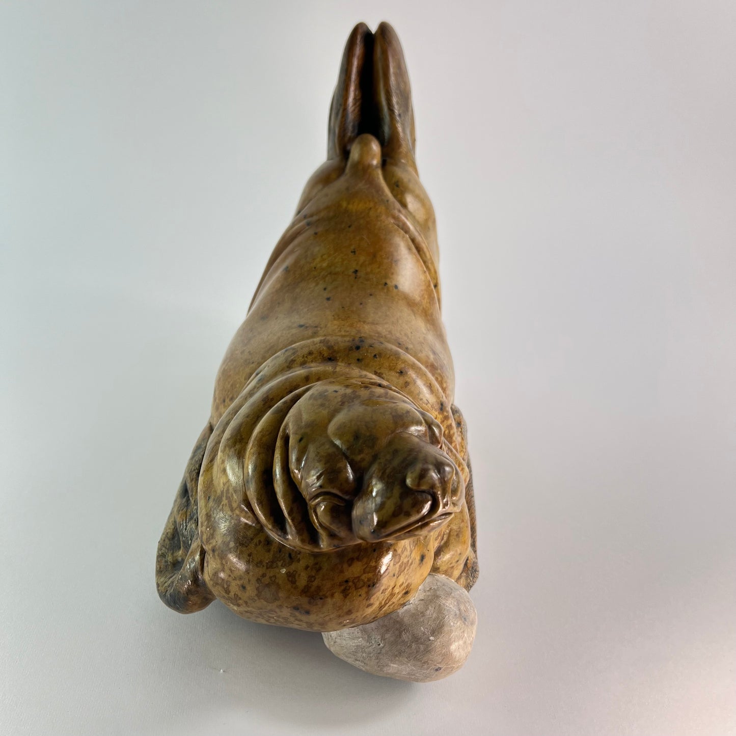 Seal