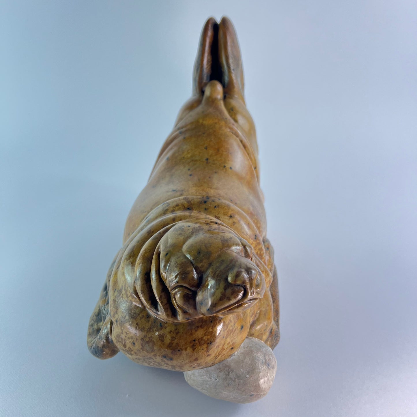 Seal