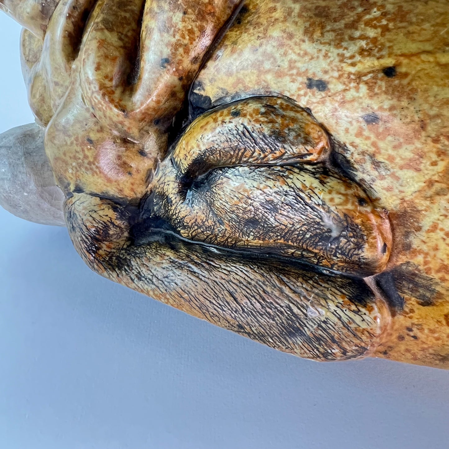 Seal