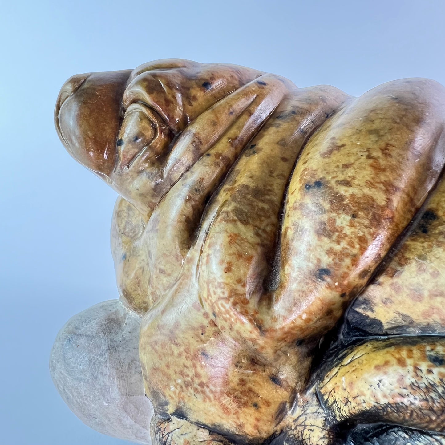 Seal