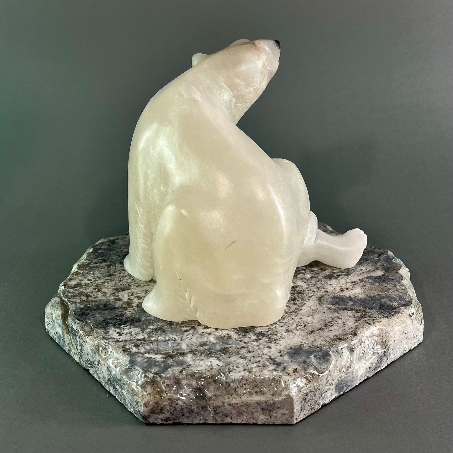 Ice Bears