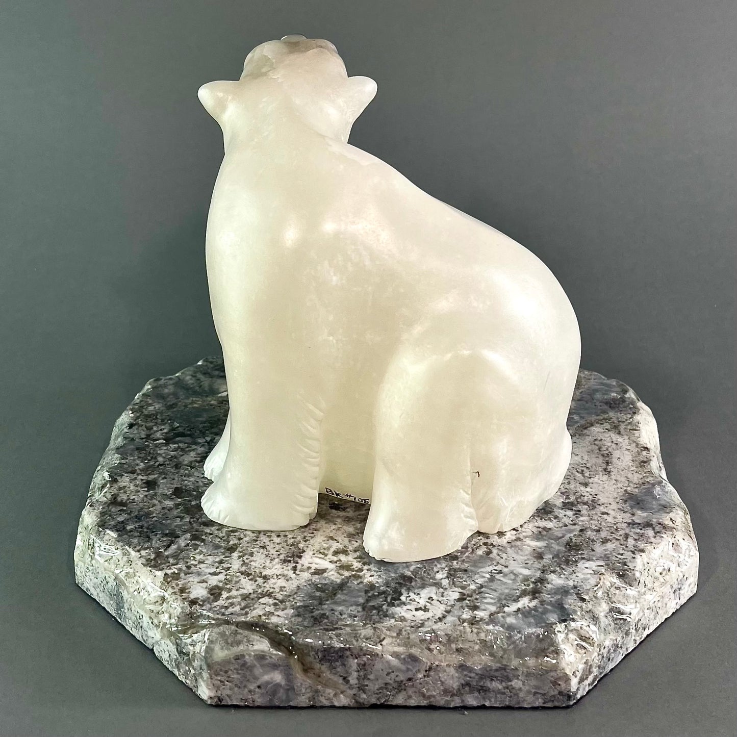 Ice Bears