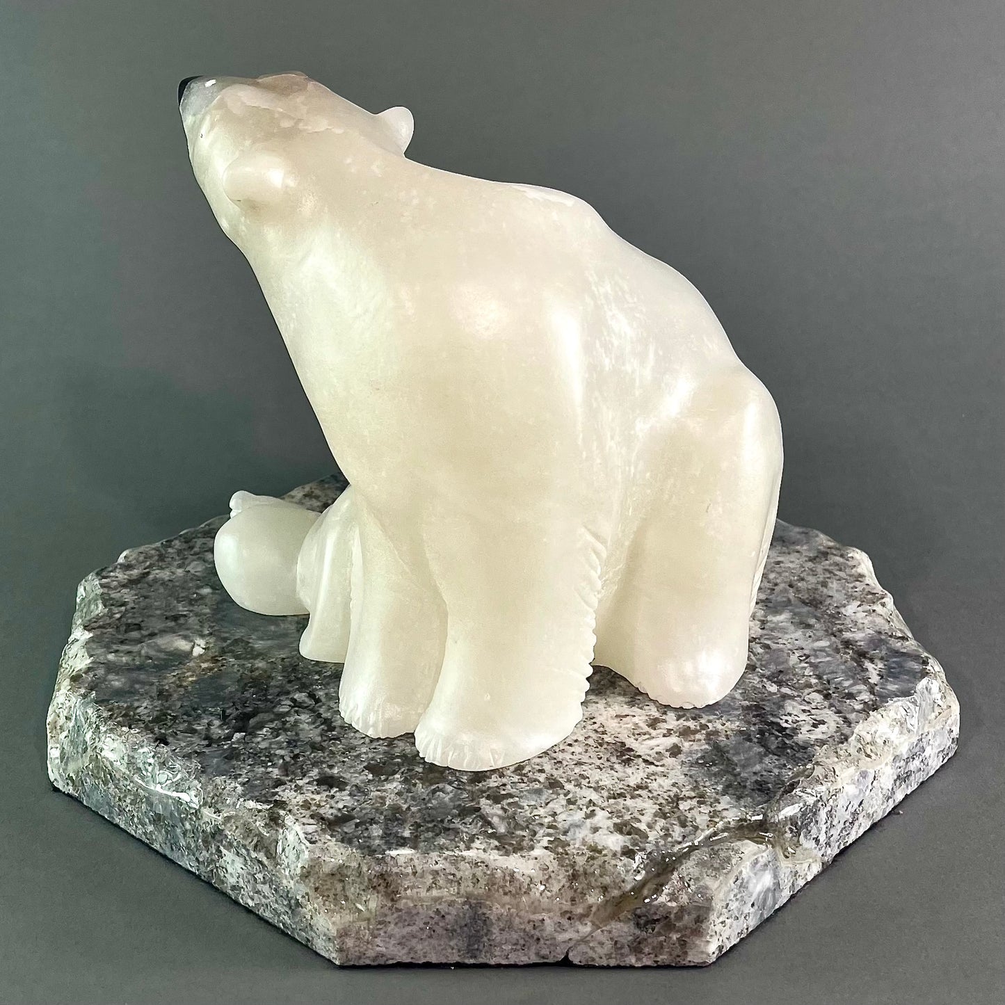 Ice Bears