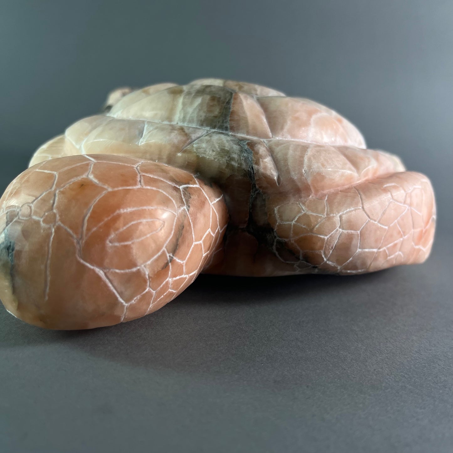 Turtle Sunset