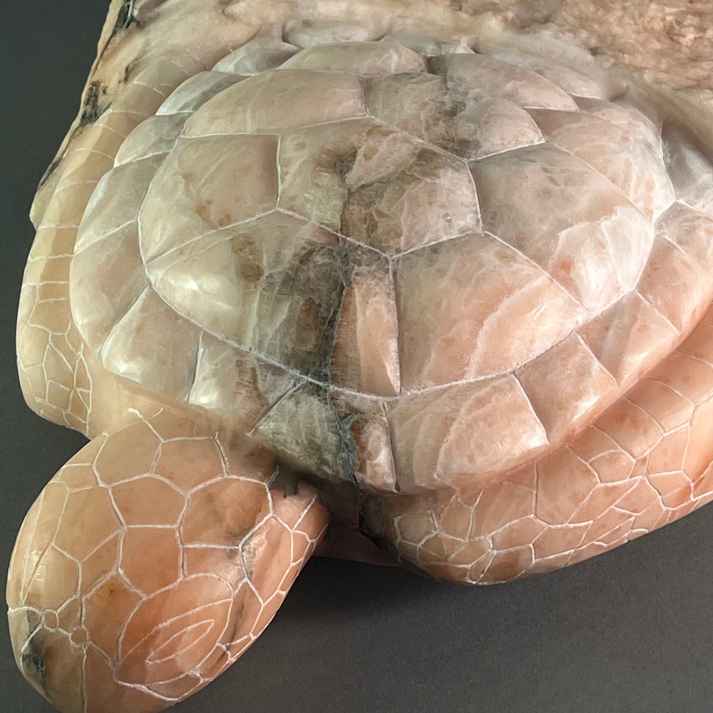Turtle Sunset