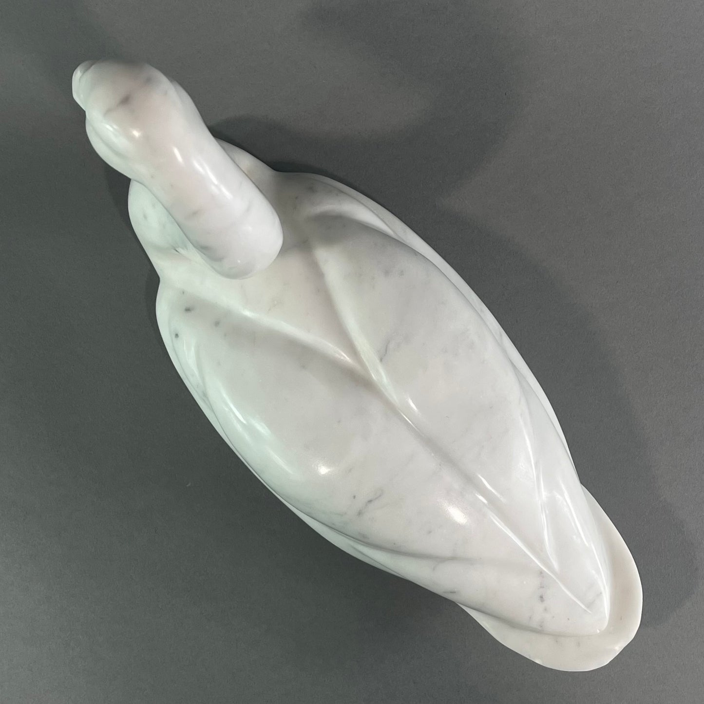 Swan