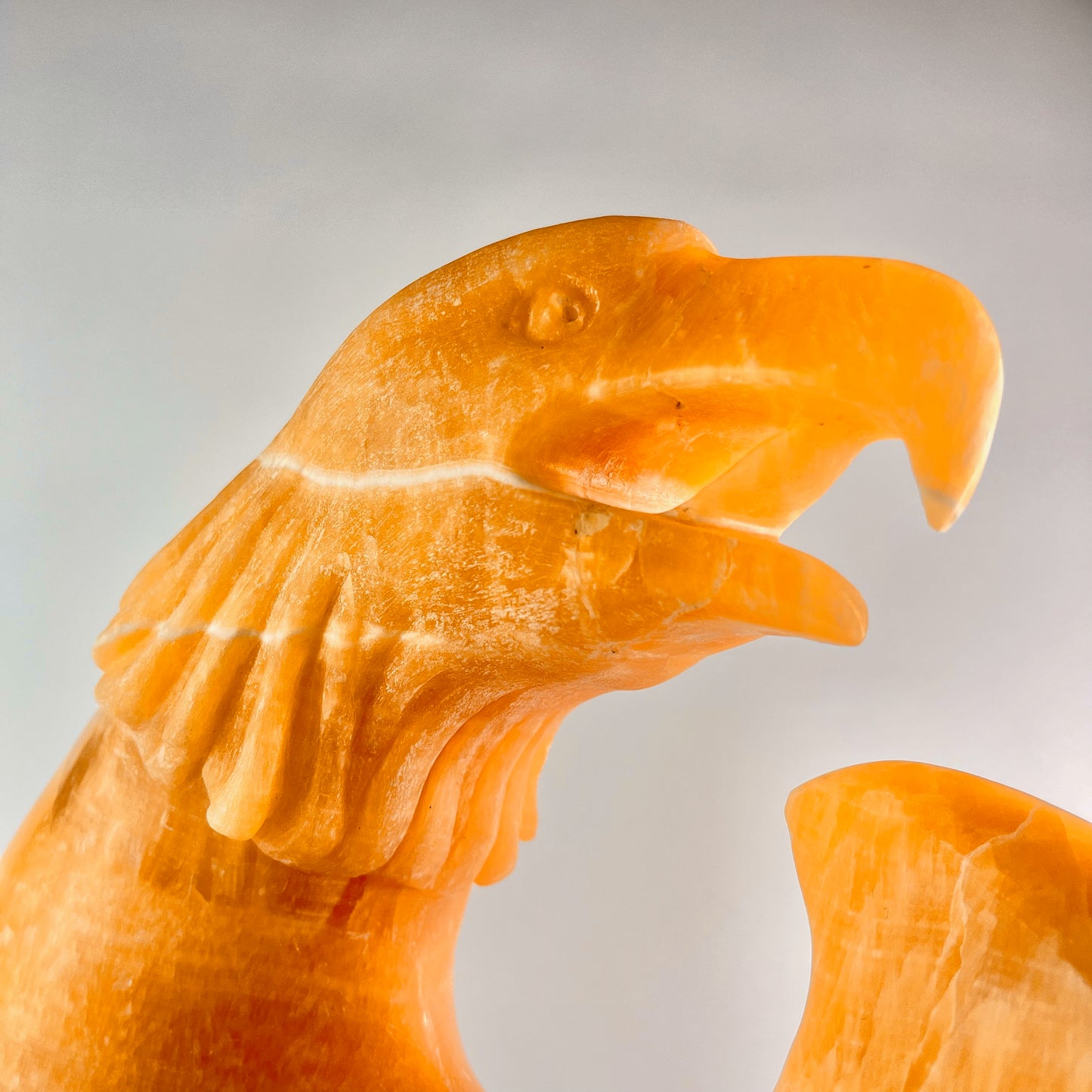 Seafoam Eagle