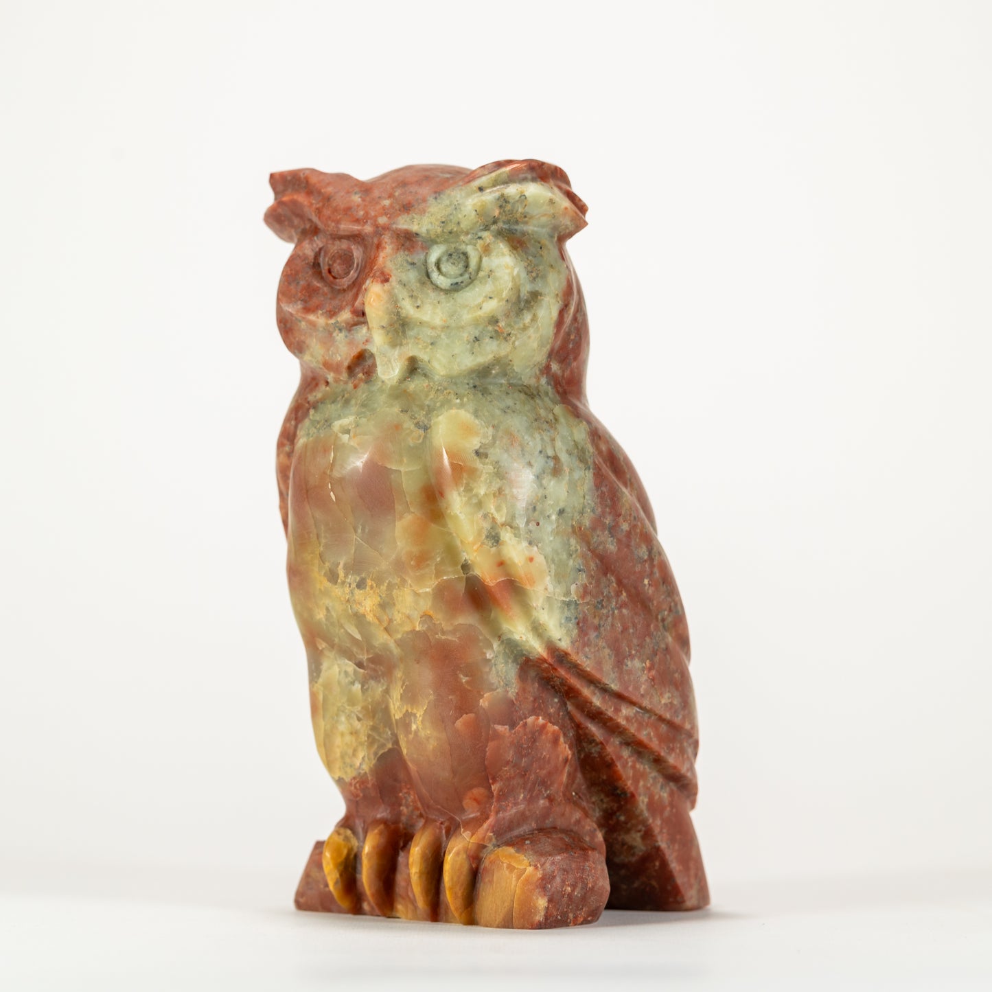 Horned Owl