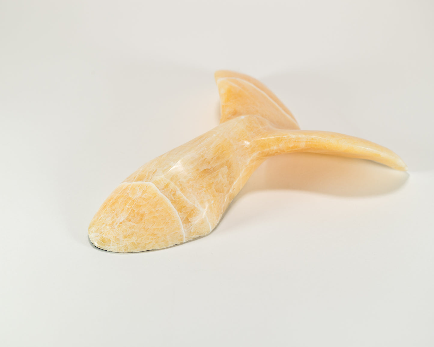 Orca Tail - Golden Onyx