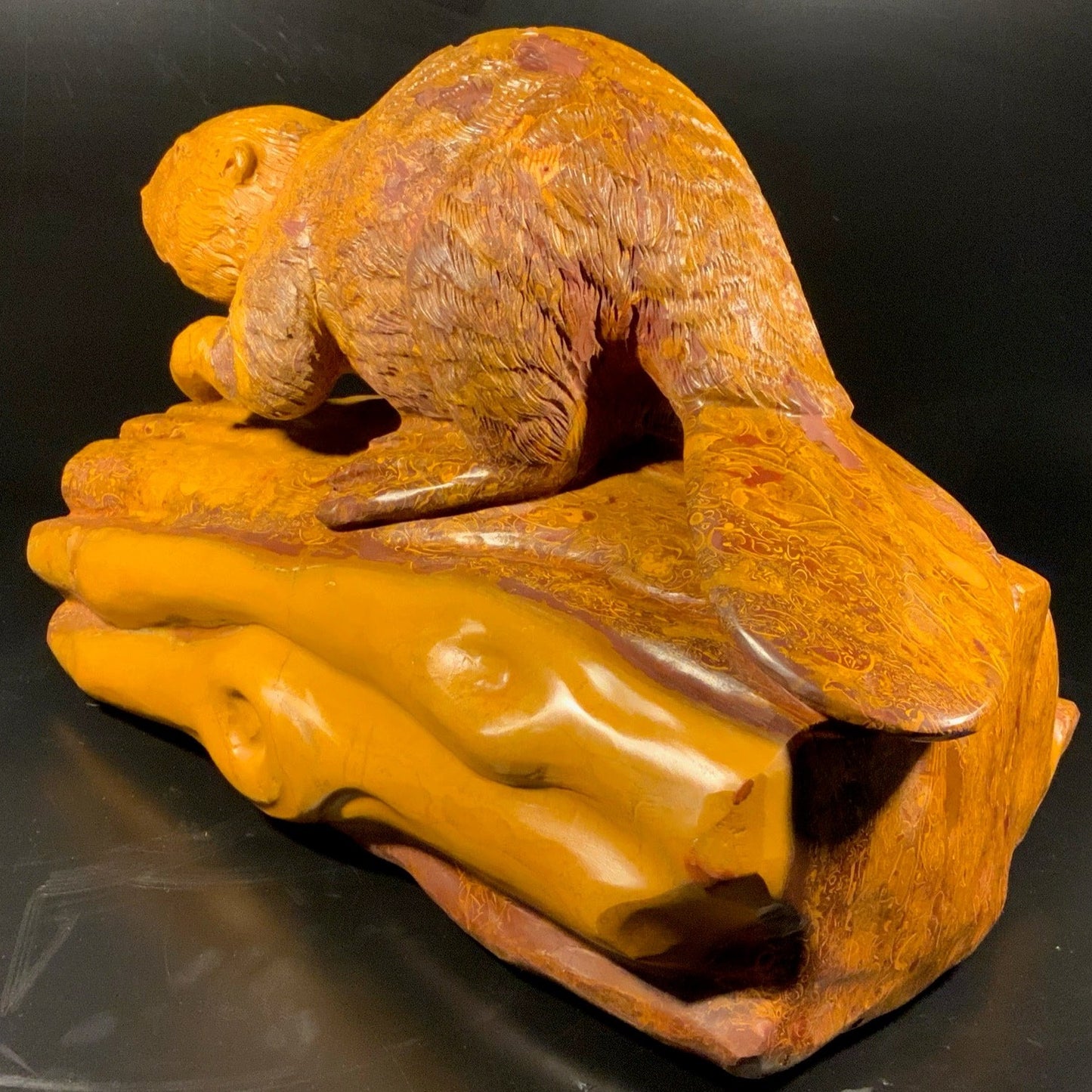 Canadian Beaver Fossil Limestone