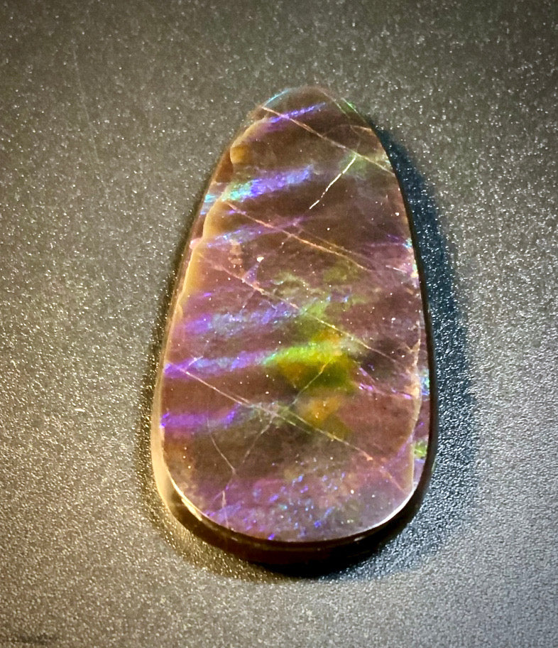 Ammolite Shell