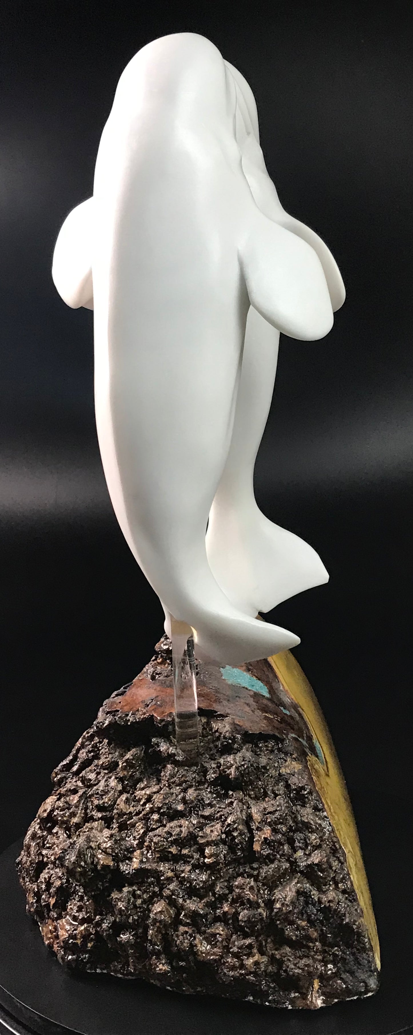 Beluga Dance