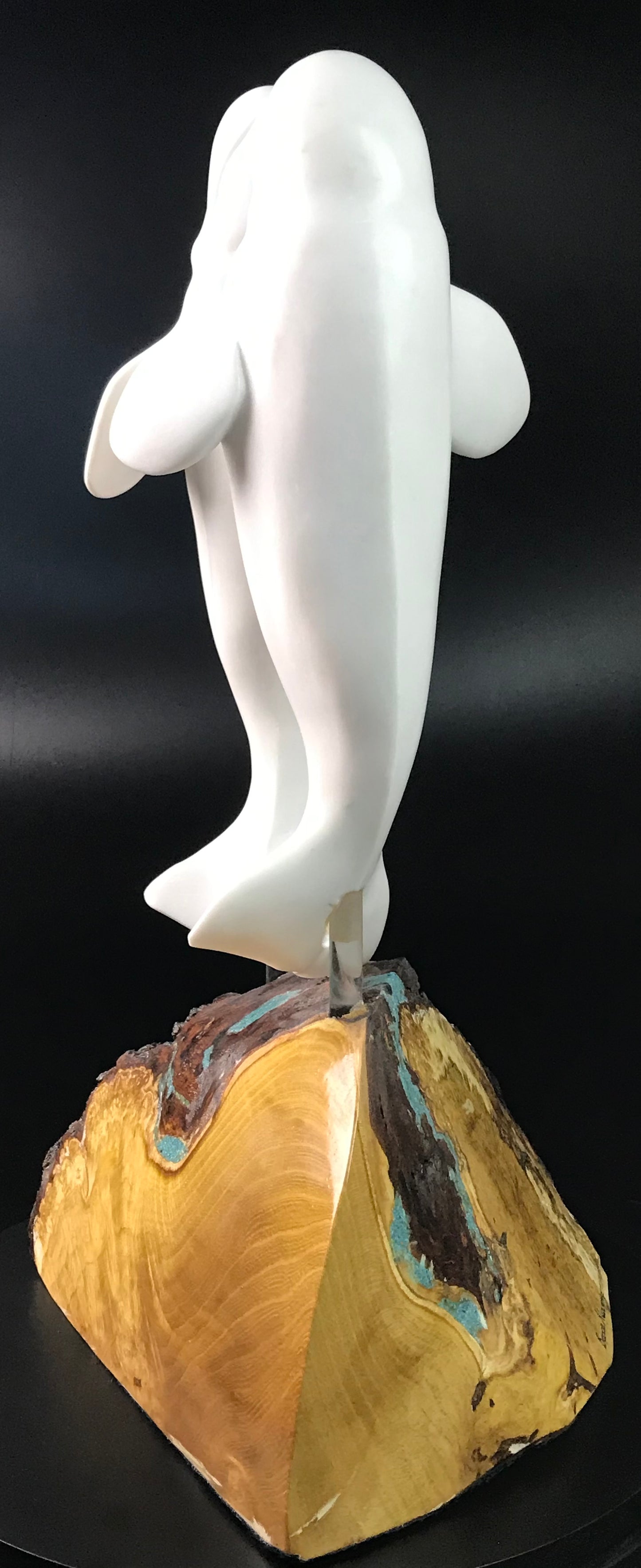 Beluga Dance