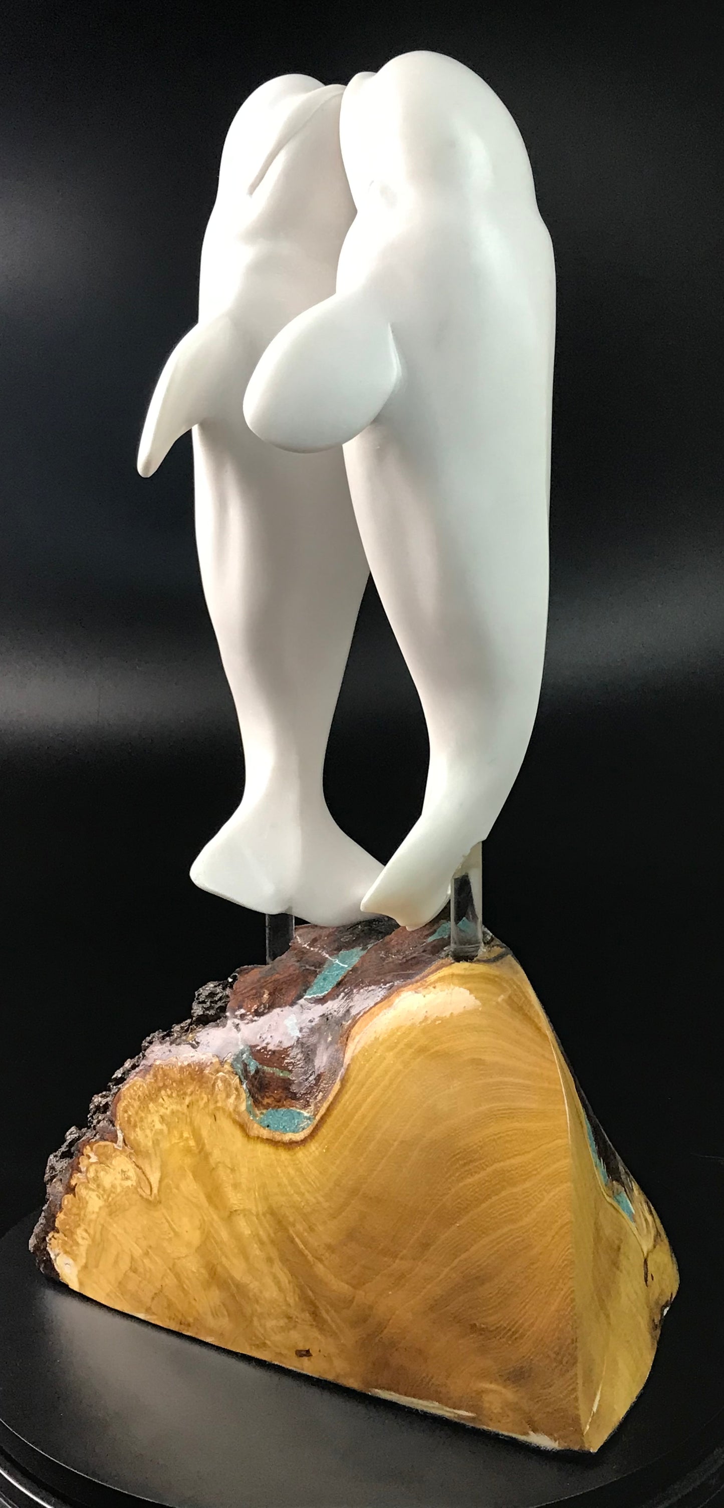 Beluga Dance