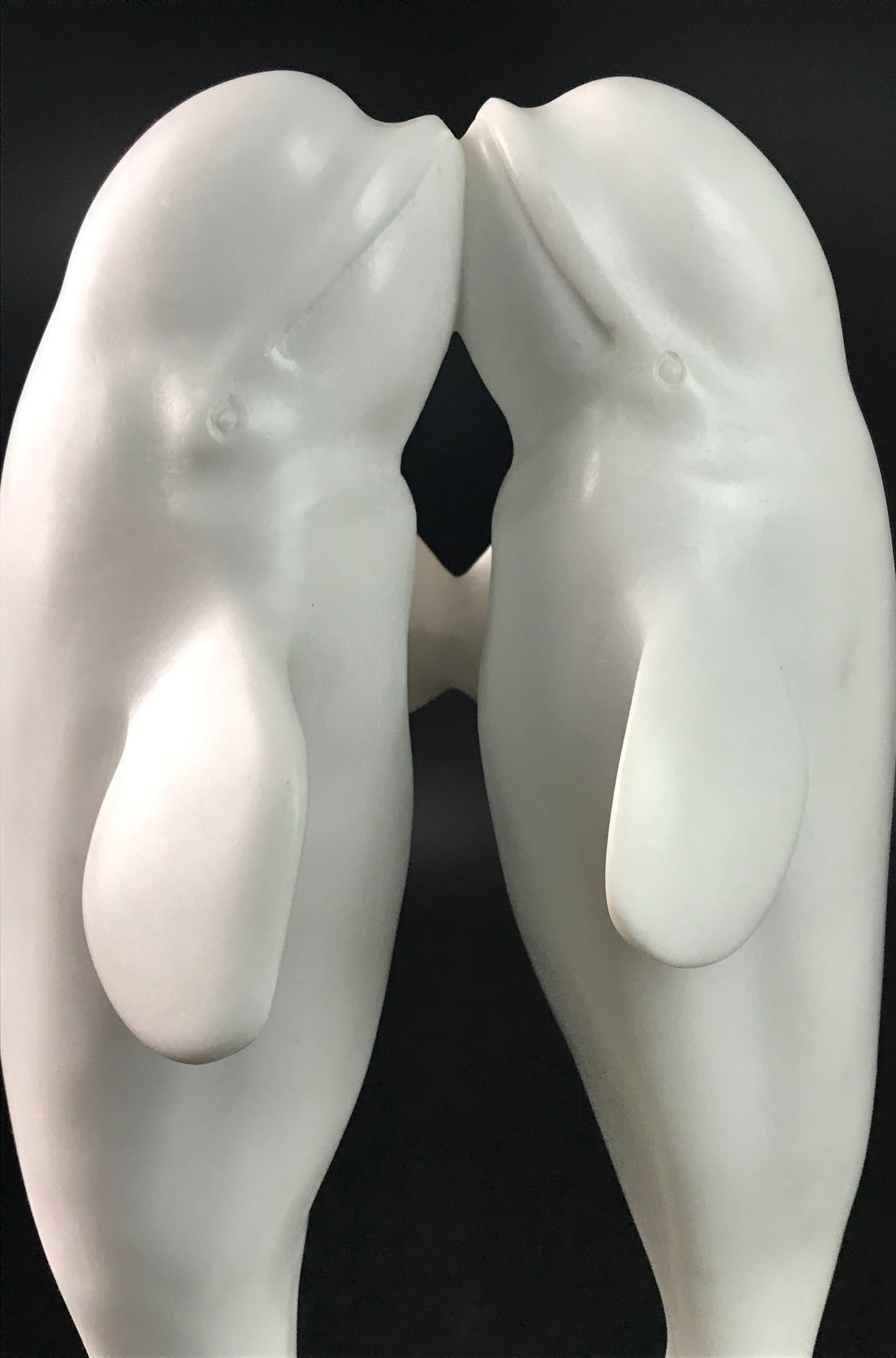 Beluga Dance