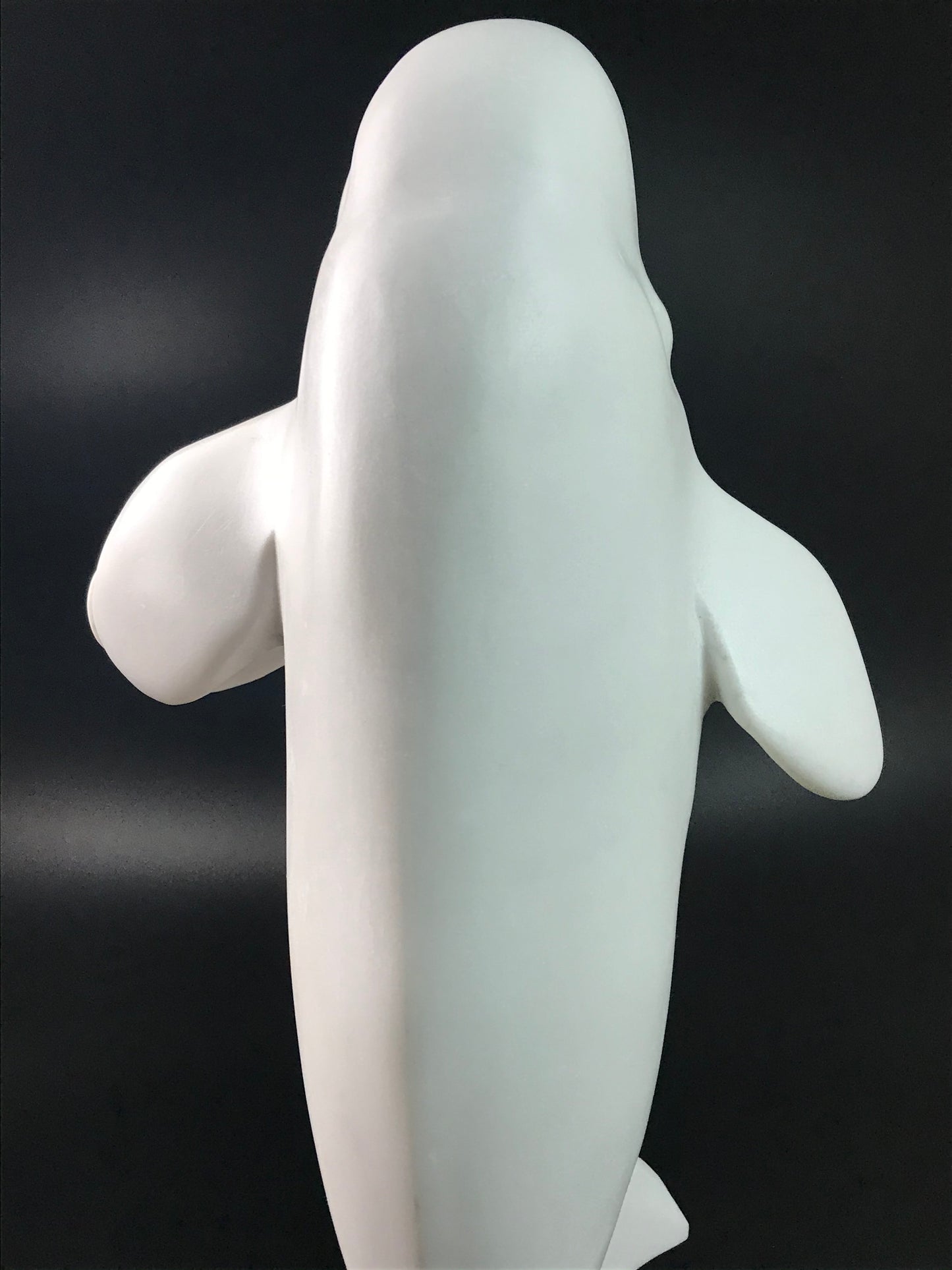 Beluga Dance