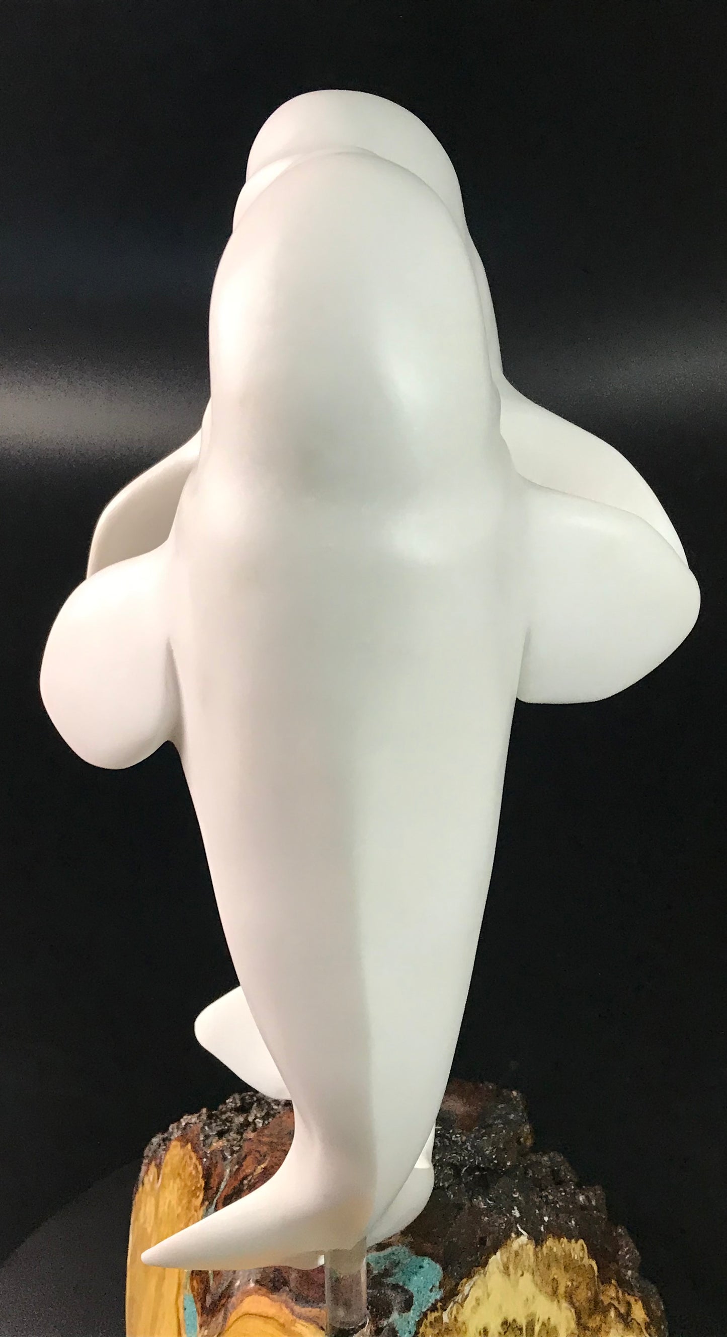 Beluga Dance