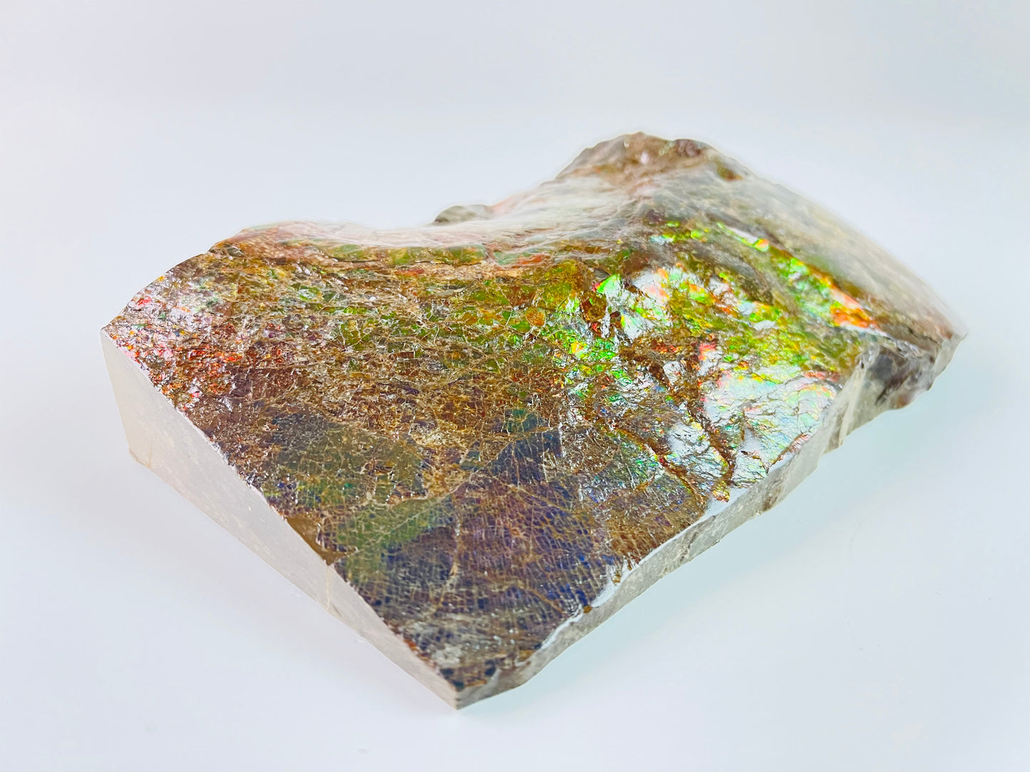 Ammolite Specimen - Dragon Skin
