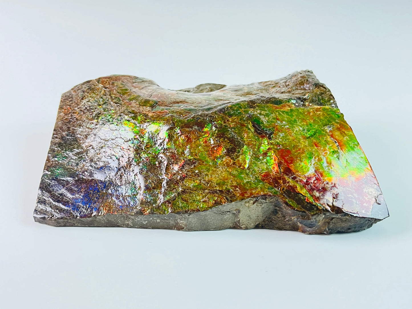 Ammolite Specimen - Dragon Skin