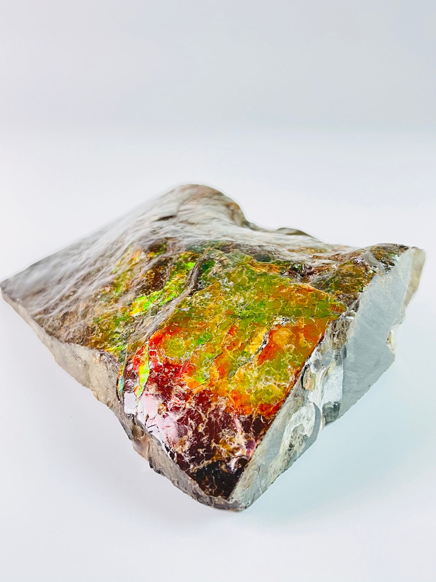 Ammolite Specimen - Dragon Skin