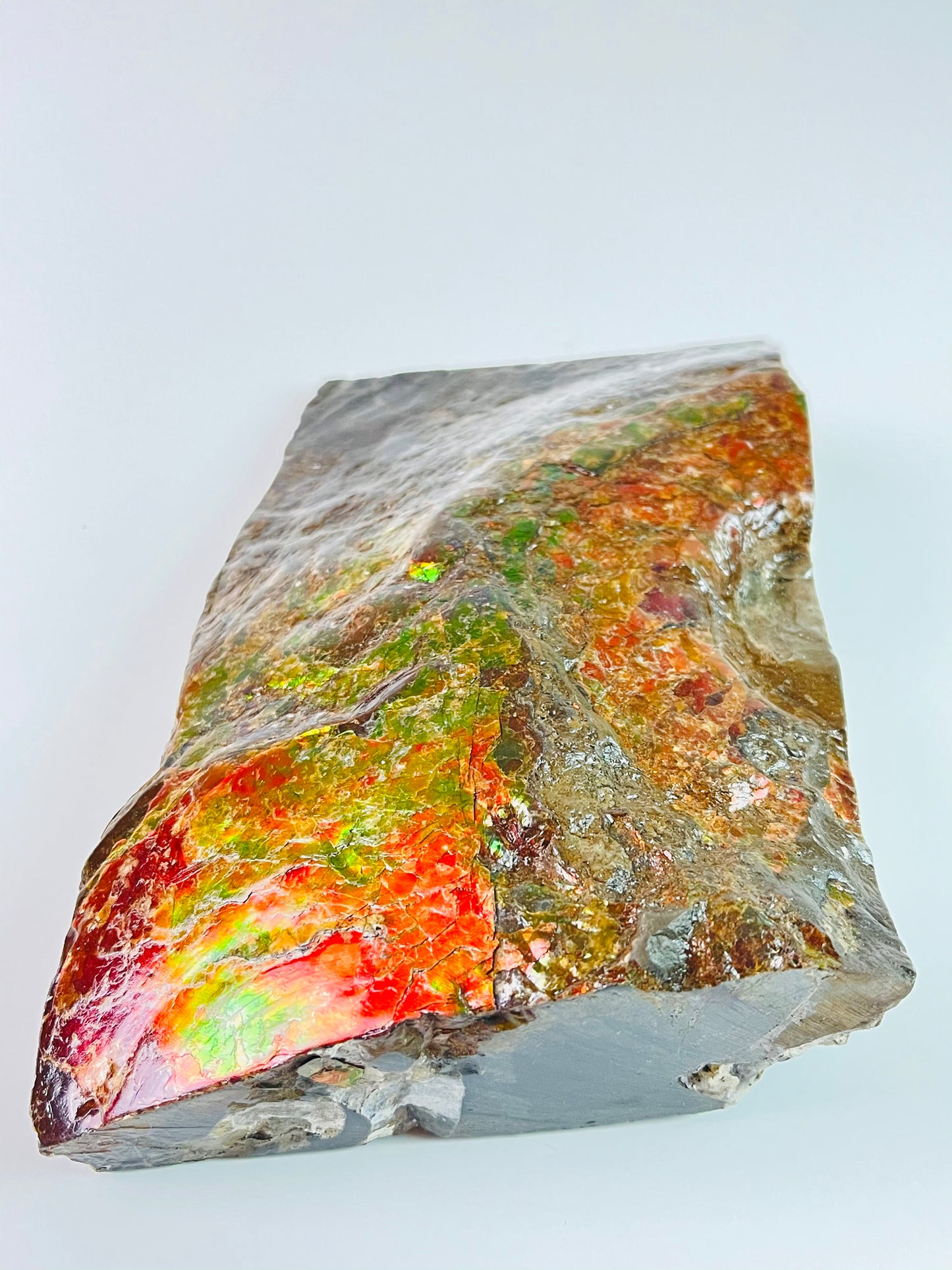 Ammolite Specimen - Dragon Skin