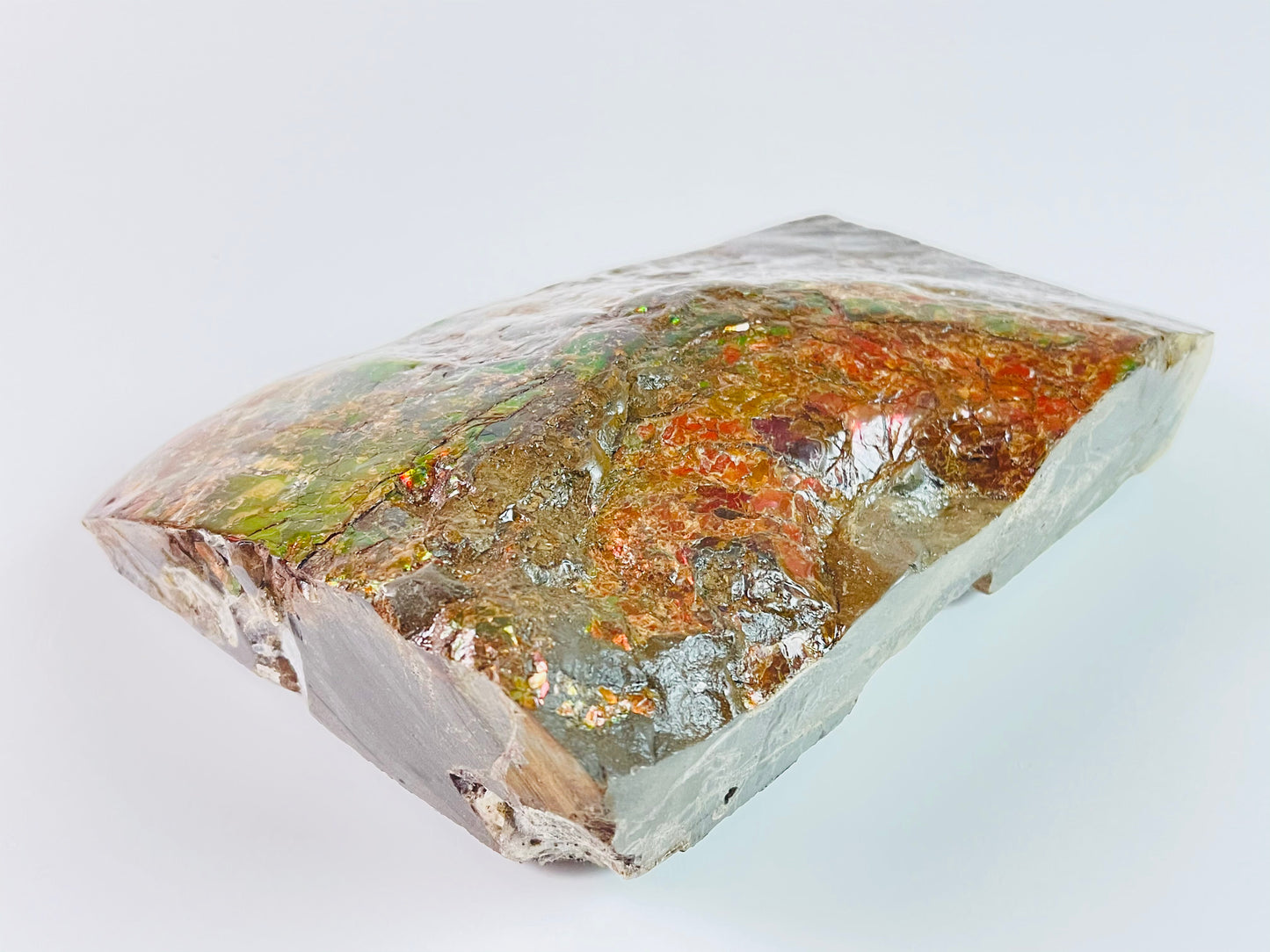 Ammolite Specimen - Dragon Skin