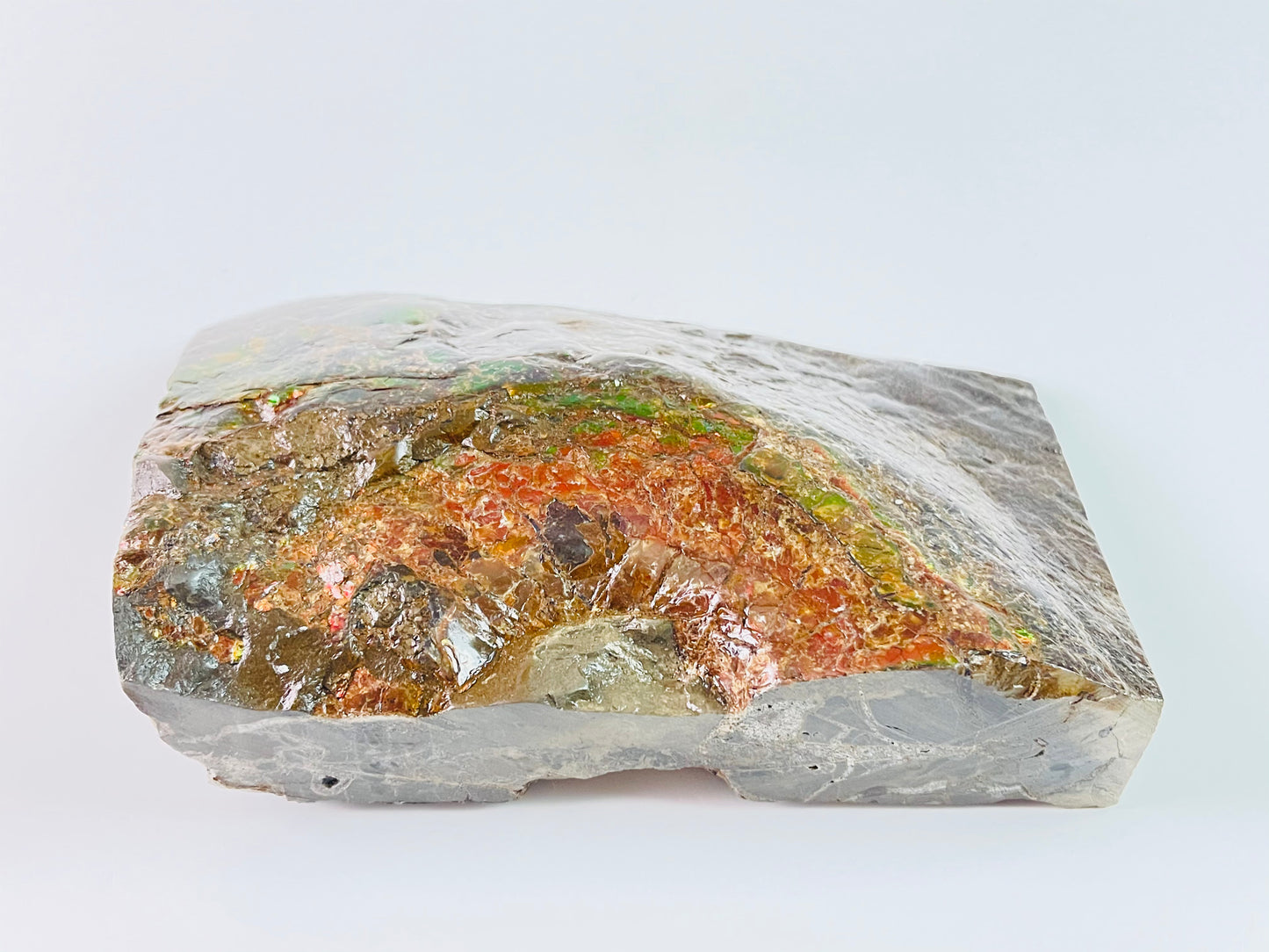 Ammolite Specimen - Dragon Skin