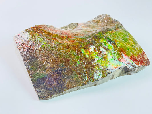 Ammolite Specimen - Dragon Skin