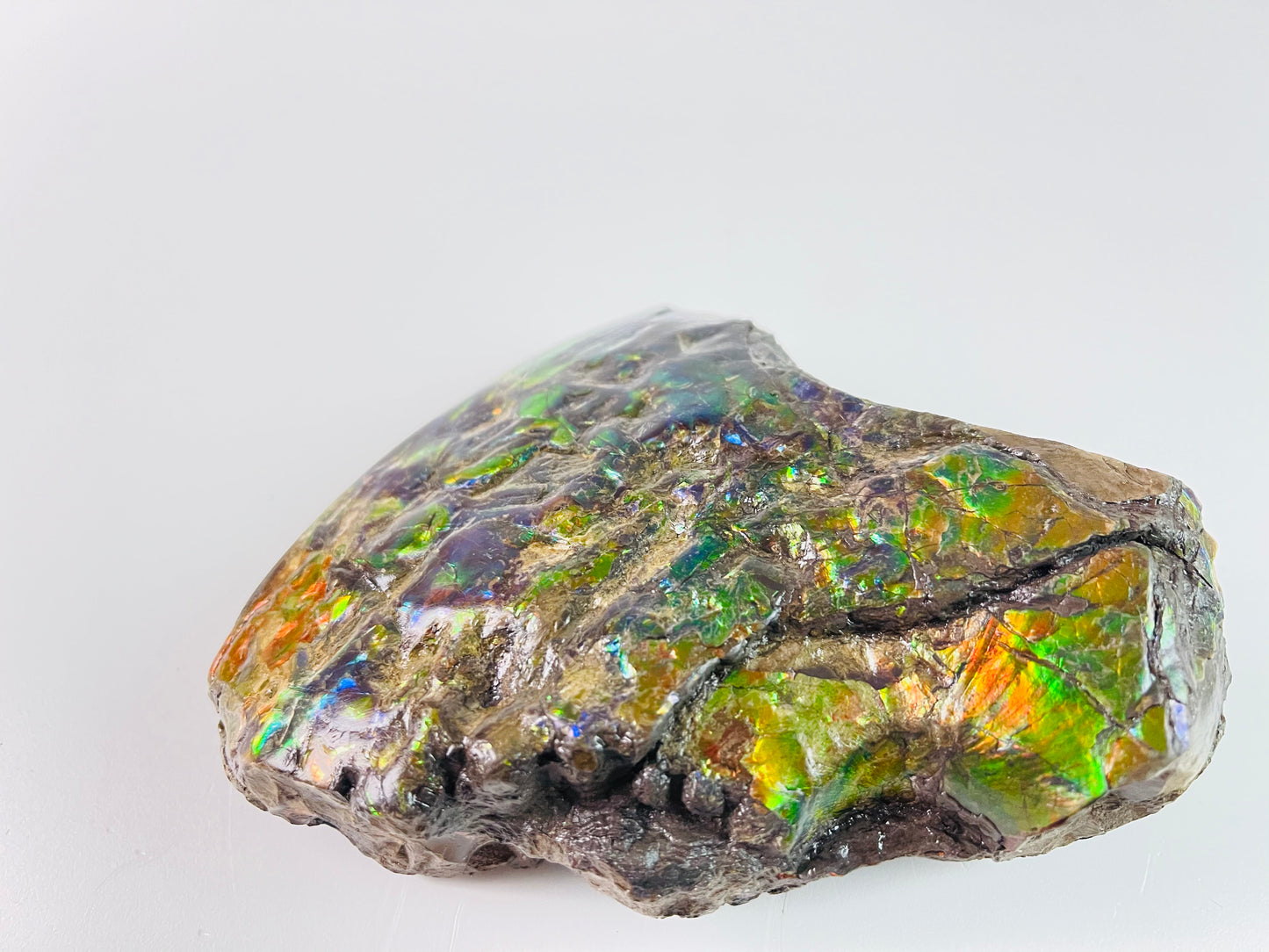 Ammolite Specimen - Suiseki Meeki