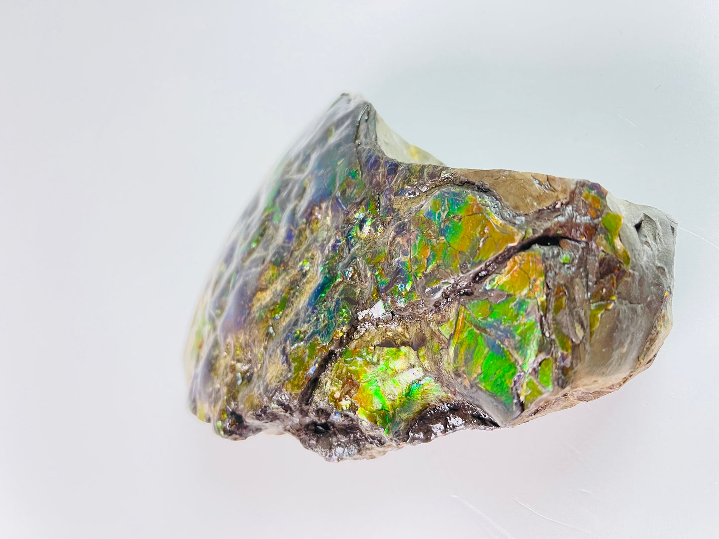 Ammolite Specimen - Suiseki Meeki