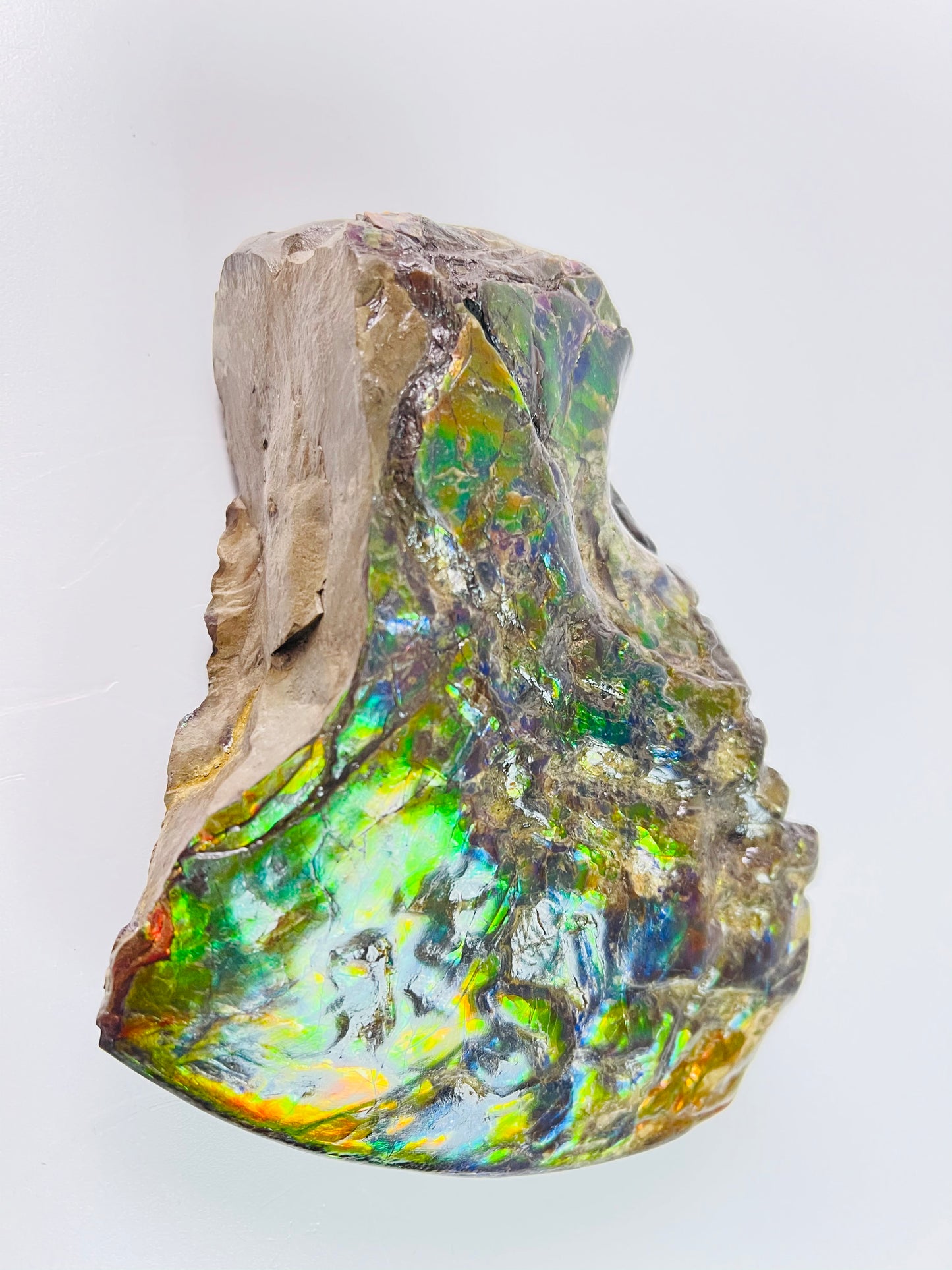 Ammolite Specimen - Suiseki Meeki