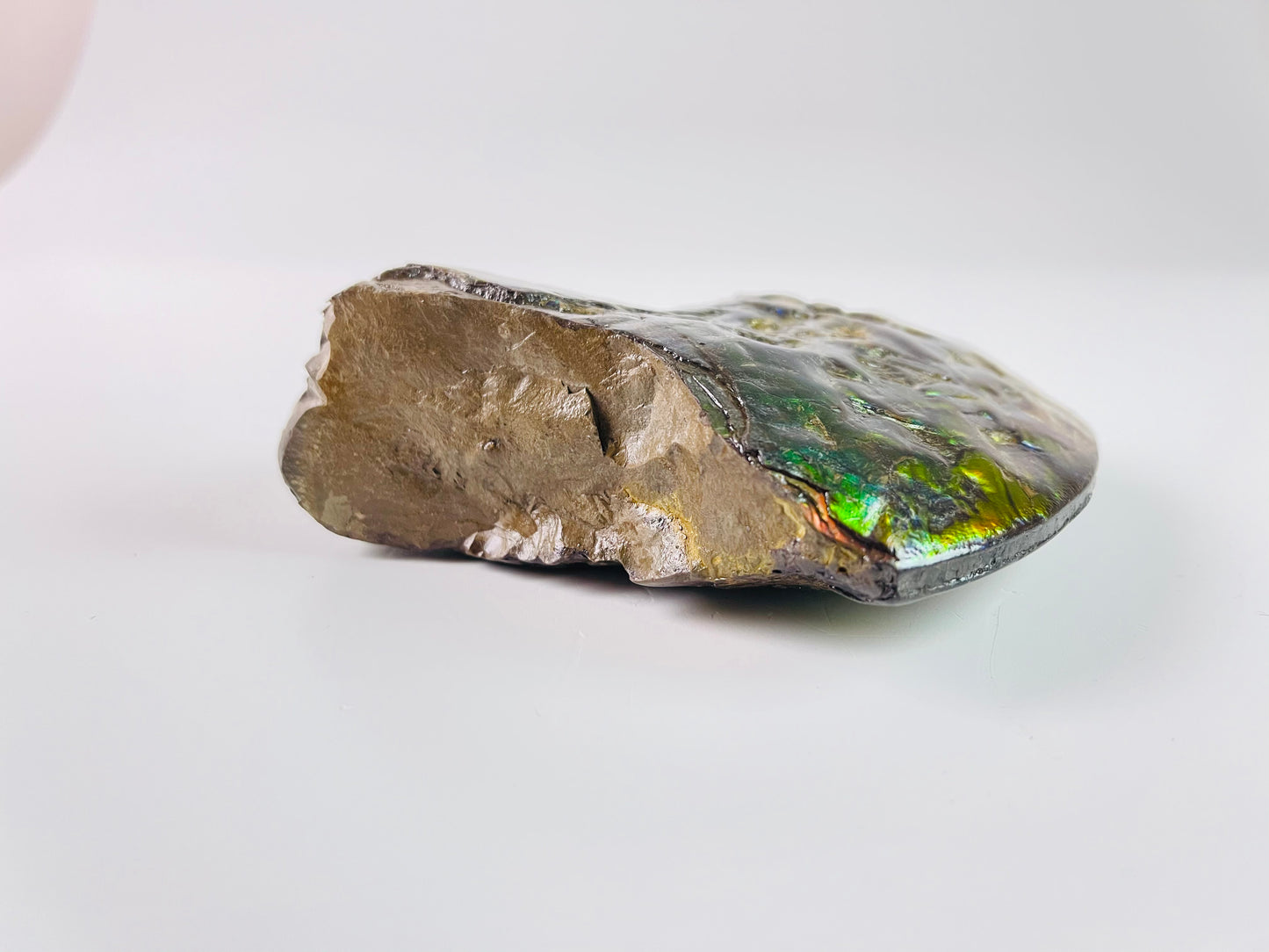 Ammolite Specimen - Suiseki Meeki