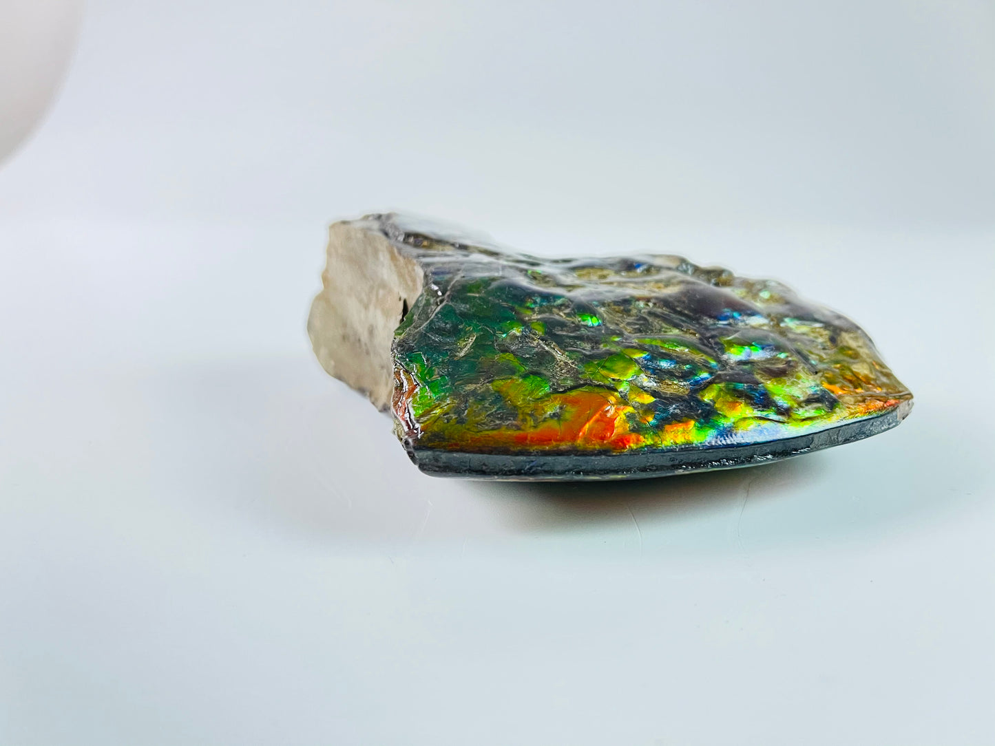 Ammolite Specimen - Suiseki Meeki