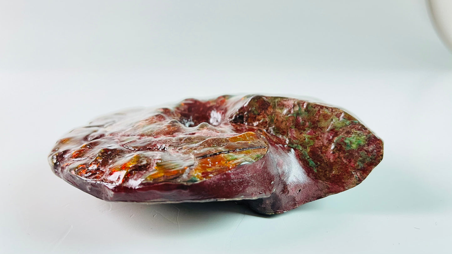 SOLD - Ammolite Fossil - Red green color Placenticeras Intercalare