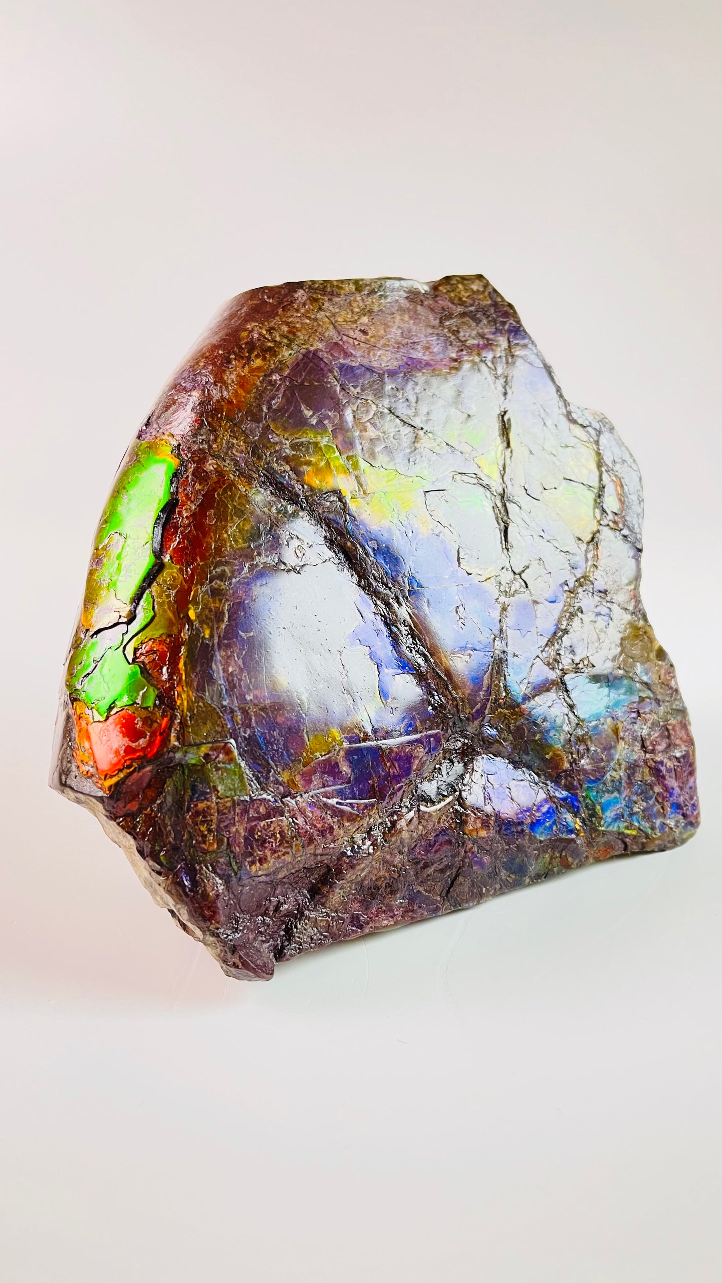 Ammolite Specimen - Rainbow feng shui ammolite display